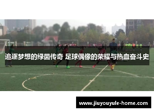 追逐梦想的绿茵传奇 足球偶像的荣耀与热血奋斗史